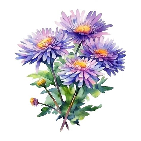 Premium Vector | Aster flowers watercolor paint Aster Flower Tattoos, Coral Painting, Aster Flowers, September Birth Flower, Flower Tattoo Ideas, Aster Flower, Flower Line Drawings, Easter Flowers, Flowers Watercolor