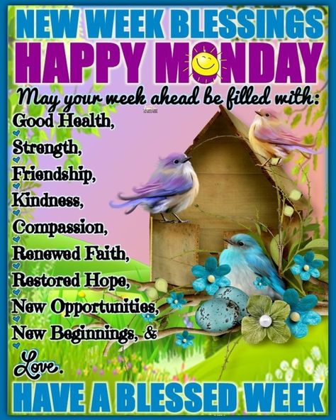 Happy Beginning Of The Week, Week Blessings, Have A Blessed Week, March 7, New Week, New Opportunities, Happy Monday, New Beginnings, Positive Quotes