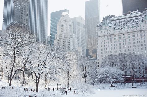 A Winter Wonderland in Central Park, New York City Winter In New York, Telephone Design, Winter Fairy, Lake George, City That Never Sleeps, The Plaza, Concrete Jungle, Olivia Palermo, Winter Scenes