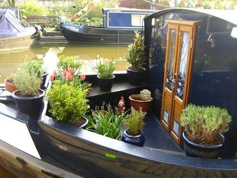 boat house Prunus Serrula, Houseboat Interiors, Canal Boat Interior, Barge Boat, Narrowboat Interiors, Boat Living, Boat House Interior, Houseboat Living, Narrow Boats