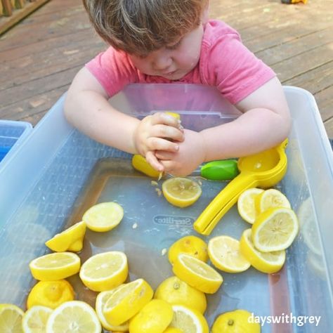 sensory bin for toddlers Sensory Stations, Fruit Activities, Cedar Projects, Sensory Play Toddlers, Cooking Theme, Sensory Ideas, Sour Fruit, Art Activities For Toddlers, Sensory Activities Toddlers