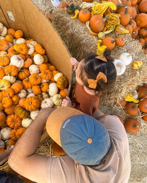 Toddler Hairstyles / Zig Zag Part / Double Buns Faceless Kid Pictures, Zig Zag Part, Faceless Photos, Pumpkin Patch Pictures, Double Buns, Toddler Hairstyles, Fall Photo, Face Photo, Father Daughter