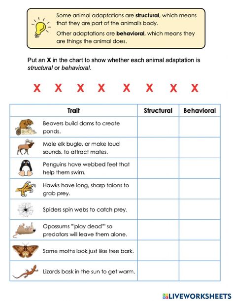 Animal Adaptations Worksheet, Structural Adaptations, Animal Adaptation, Animal Adaptations, Virtual Field Trips, Online Activities, School Subjects, Online Workouts, Google Classroom