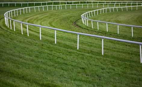 Horse Race Rail Tracks: Know Everything About Them Horse Racing Track, Horse Race, Kentucky Derby Party, Melbourne Cup, Trending Today, Trending News, Live News, The Horse, Race Day