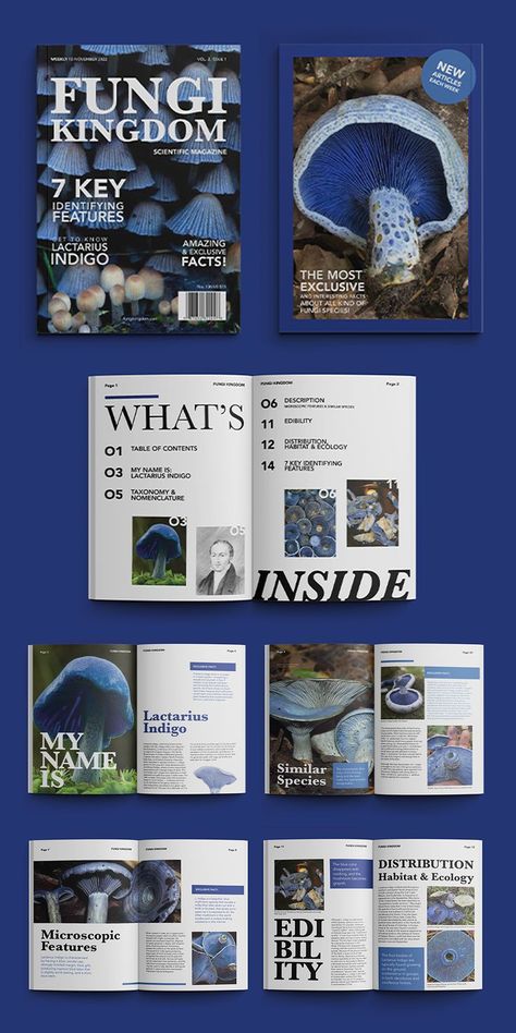 Mises En Page Design Graphique, Indesign Layout, Magazine Layout Inspiration, 잡지 레이아웃, Book Cover Design Inspiration, Illustrator Design Tutorial, Zine Design, Booklet Design, Magazine Layout Design