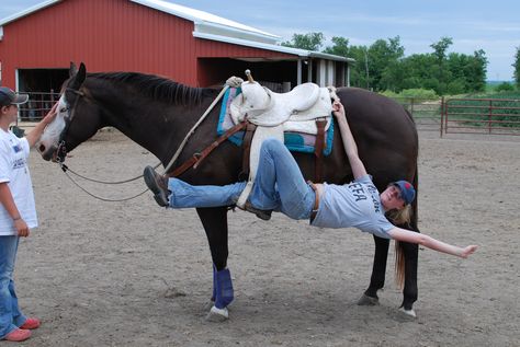 The relationship between trick riding and rivers. | Standing Out ... Riding Reference, Vaulting Equestrian, Trick Riding, Horse Story, Horse Show Clothes, Barrel Racing Horses, Horse Posters, Funny Horses, Rodeo Life