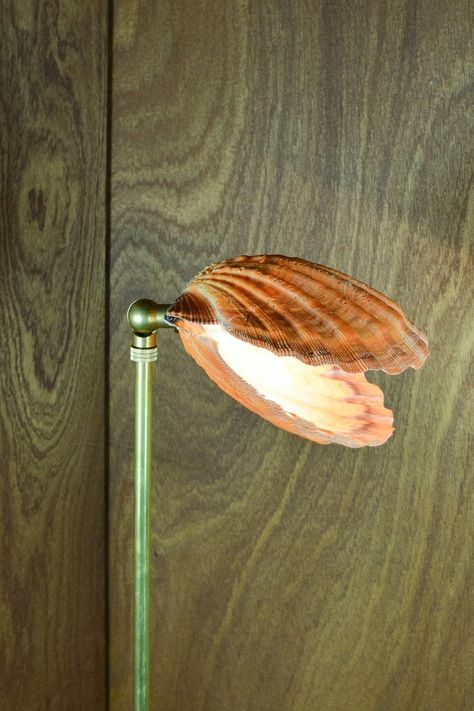 Lion's Paw Lamp with Scallop Shell Shade | Tennant New York Audrey Ii, Unusual Lamps, Shell Lamp, Beautiful Home Gardens, Coquille Saint Jacques, Lion Paw, Beauty Salon Interior, Scallop Shell, Scallop Shells