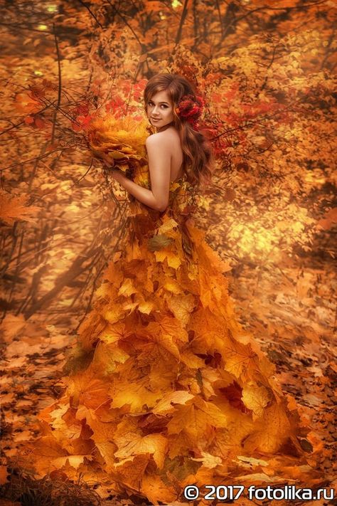 Autumn Witch, Glitch In The Matrix, Halloween Hocus Pocus, Autumn Rose, Rise Of The Guardians, Brides And Grooms, Magic Forest, Forest Creatures, Beautiful Images Nature