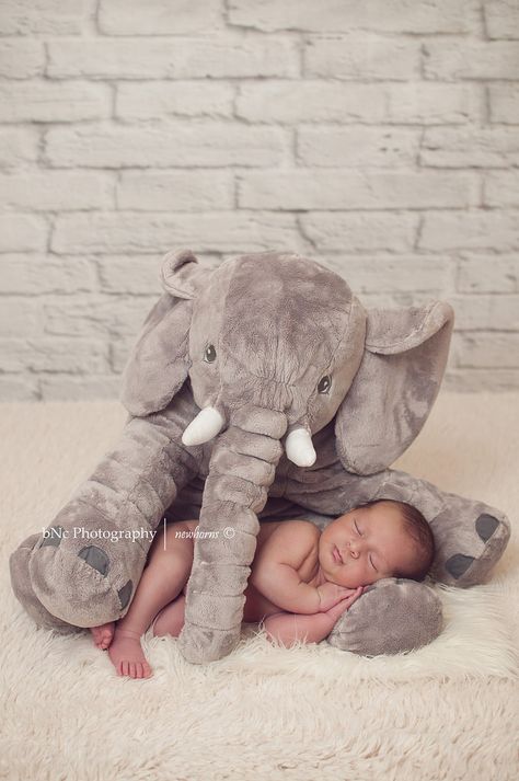 Elephant newborn photography Newborn Elephant, Baby Boy Newborn Pictures, Newborn Photography Boy, Baby Fotografie, Baby Pictures Newborn, Newborn Photography Poses, Newborn Baby Photoshoot, Baby Boy Photography, Newborn Photo Shoot