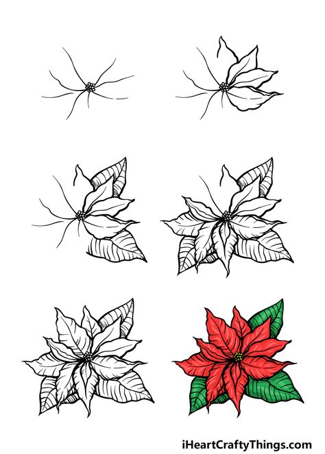 How To Draw A Poinsettia – A Step by Step Guide How To Draw A Poinsettia Step By Step, Poinsettia Line Drawing, How To Draw A Poinsettia, How To Draw Poinsettia, Pointsetta Plant Drawing, Pointessia Christmas, Poinsettia Flower Drawing, Draw A Poinsettia, Pointsetta Flower