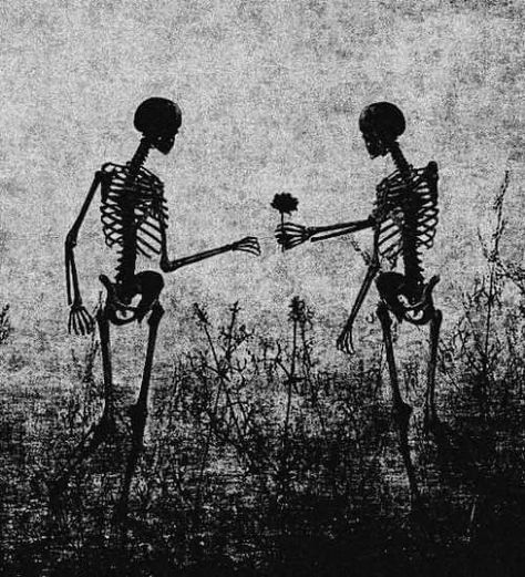 Skeletons Wallpaper Aesthetic, Skeleton Lovers, Skeleton Artwork, Konosuba Wallpaper, Skeleton Love, Cool Skeleton, Dark Grunge, Skeleton Art, Skull Wallpaper