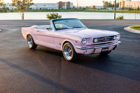 This is a 1966 Mustang GT Convertible in Playmate Pink. It has Ivory leather interior. This car has 17x8 Shelby 10-spoke aluminum wheels. It features a 460hp Ford 5.0L Ti-VCT Coyote DOHC V8 engine and a T56XL 6-speed manual transmission. #mustang #shelby #classicmustang #classicshelby #carinspiration Light Pink Mustang, Mustang Cars Convertible, 1963 Mustang, Vintage Convertible Cars, 1960s Mustang, 65 Mustang Convertible, 1964 Mustang, 1965 Mustang Gt, 1965 Mustang Convertible