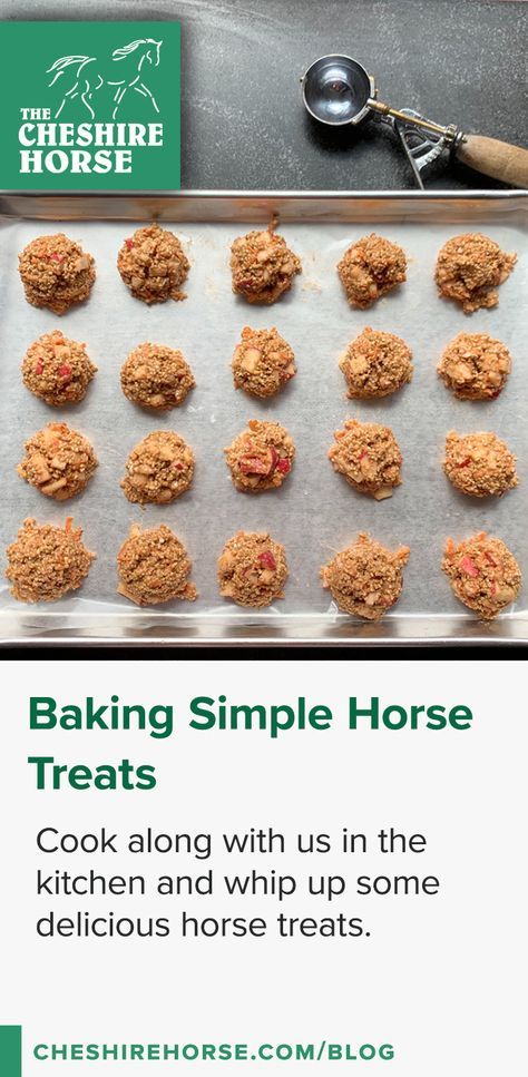 Dog And Horse Treats Homemade, Baked Horse Treats, Peppermint Horse Treats Recipes, Diy Horse Pill Pockets, Healthy Horse Treats, Pumpkin Horse Treats, Diy Horse Treats Recipes, Horse Treats Recipe Easy, Diy Horse Treats