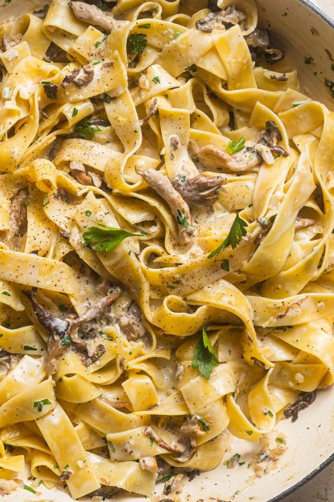 Creamy Mushroom Pappardelle, Mushroom Parpadelle Recipes, Portabella Mushroom Pasta Recipes, Mushroom Pappardelle Pasta, Papardelle Ao Funghi, Papadeli Pasta, Porcini Mushroom Pasta, Mushroom Parpadelle, Fungi Pasta