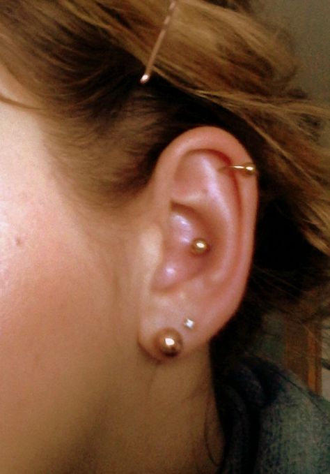 Inner Conch Piercing, Gold Labret Inner Conch Piercing, Inner Conch, Conch Piercing, Big Earrings, Piercing Tattoo, Conch, Tattoos And Piercings, Ear Piercings, Tatting