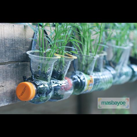 Diy Self Watering Planter, Grow Shop, Bottle Garden, Water Collection, Self Watering Planter, Old Bottles, Plastic Crafts, Fruit Garden, Urban Farming