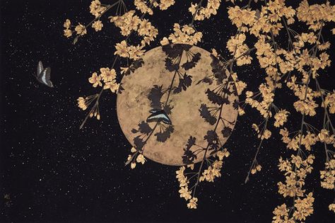 Dark Spring, Moth Art, Horror Themes, Twitter Headers, Macbook Wallpaper, Moon Flower, Dessin Adorable, Nagoya, Computer Wallpaper