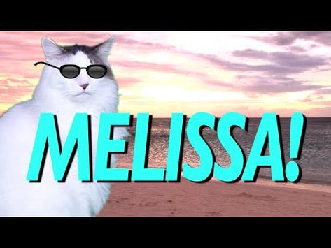 HAPPY BIRTHDAY MELISSA! - EPIC CAT Happy Birthday Song - YouTube Happy Birthday Song Youtube, Happy Birthday Melissa, Cat Happy Birthday, Cat Happy, Happy Birthday Song, Happy Birthday Daughter, Birthday Songs, Family Birthday, Yahoo Search