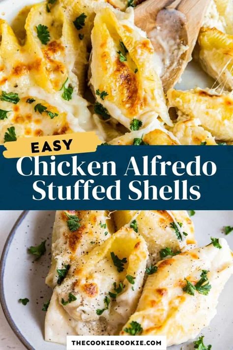 Alfredo Shells, Jumbo Shell Recipes, Homemade Chicken Alfredo, Alfredo Stuffed Shells, Chicken Alfredo Stuffed Shells, Alfredo Recipes, Chicken Stuffed Shells, Shell Pasta Recipes, Alfredo Sauce Recipe Homemade