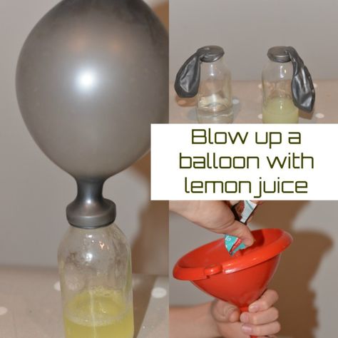 10 AMAZING Baking Soda Experiments – Science Experiments for Kids Baking Soda Experiments, Balloon Science Experiments, Balloon Experiment, Camp Projects, Kitchen Science, Toddler Lessons, Science Week, Blowing Up Balloons, Kid Science