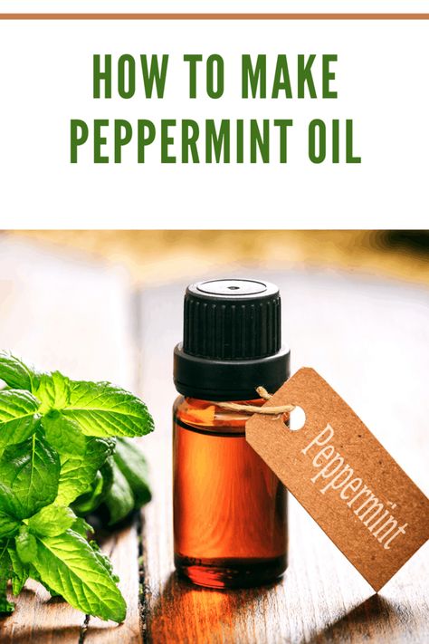 Peppermint Essential Oil Diy, How To Make My Own Essential Oils, Diy Essential Oils How To Make, Peppermint Oil Recipes Diy, Peppermint Essential Oil Uses Hair, How To Make Homemade Essential Oils, How To Make Peppermint Oil From Leaves, How To Make Spearmint Essential Oil, Mint Infused Oil