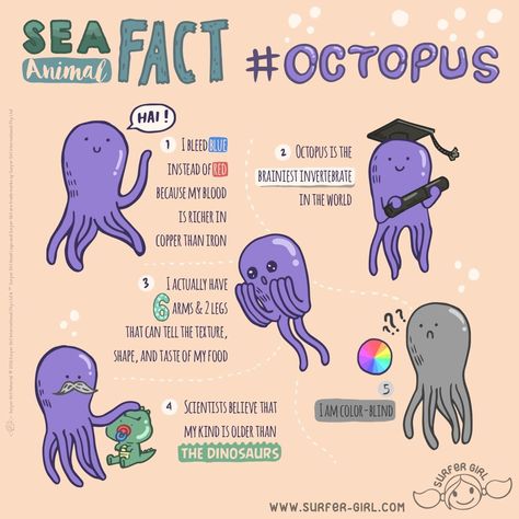 Kids Fun Facts, Dinosaur Facts For Kids, Octopus Facts, Animal Facts For Kids, Dinosaur Facts, Fun Facts For Kids, Science Experiments For Preschoolers, Food Art For Kids, Science Quotes