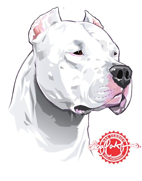 Dogo Argentino Drawing, Dogo Argentino Tattoo, Pit Bull Drawing, Pitbull Wallpaper, Wolf With Red Eyes, Pitbull Drawing, Pet Tattoo Ideas, White Pitbull, Dog Design Art