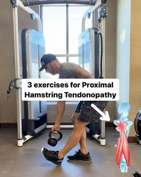 𝗗𝗿 𝗦𝗵𝗮𝗿𝗶𝗳 𝗧𝗮𝗯𝗯𝗮𝗵 𝗗𝗣𝗧, 𝗖𝗦𝗖𝗦 on Instagram: "PROXIMAL HAMSTRING TENDONOPATHY - 3️⃣ Exercises after almost a week of daily hiking in the @grandtetonnps last month I came down with a nasty case of proximal hamstring tendinitis. In order to make it out for the last days hike I had to pop Advil and do a whole rehab routine. Sitting would give me sharp pains right at that proximal attachment on my “sit bone”. Here’s some exercises I’ve been doing for it and yes it helps! When targeting the proximal hamstring specifically, we must focus on hinge movements or other eccentric lengthening control exercises that put the proximal hamstring on stretch. Anytime you’re dealing with a tendonopathy slow eccentric control exercises are the way to go!#rehabexercises DROP A COMMENT BELOW IF Hamstring Strengthening, Mobility Training, Hamstring Muscles, Therapy Exercises, Physical Therapy Exercises, Fitness Exercises, Mobility Exercises, Last Days, Way To Go