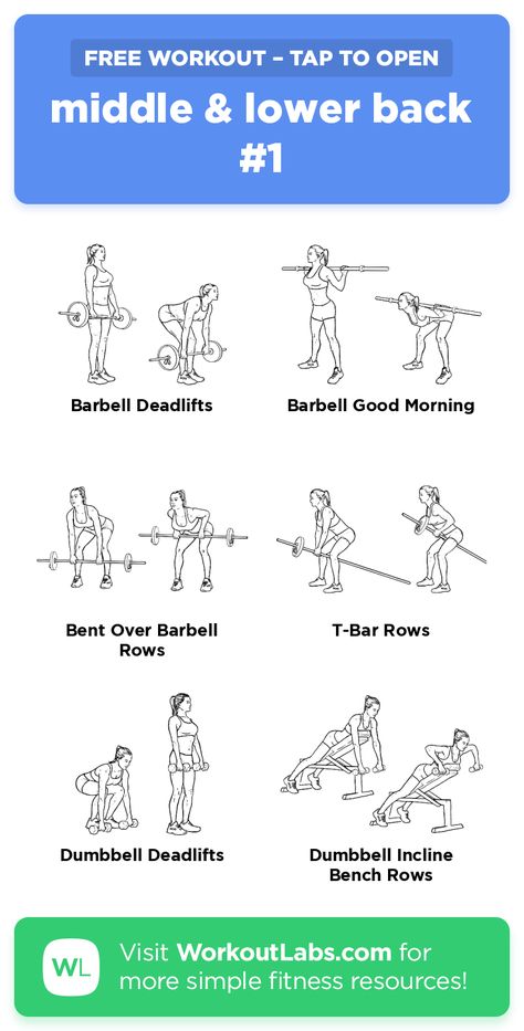 Back Exercises Gym Machines, Back Workout Women Barbell, Barbell Back Workout Women, Lower Back Weight Workout, Middle Body Workout, Lower Belly Workout Gym Machine, Lower Back Muscle Workout, Lower Back Workout Women, Mid Back Workout