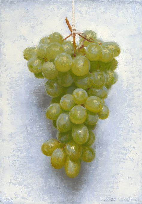 “Green Grapes” by Conor Walton #stilllife #stilllifepainting #fineart Conor Walton, Fruit References, Jim Mcvicker, Grapes Painting, On The Shoulders Of Giants, Vineyard Art, Botanical Artists, Grape Painting, Paper Quilling Flowers