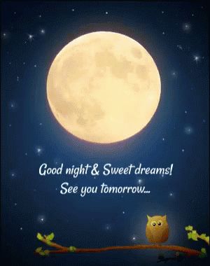 Good Night Sweet Dreams GIF - GoodNight SweetDreams SeeYouTomorrow - Discover & Share GIFs Good Night Sleep Tight, Quotes Dream, God Natt, Slaap Lekker, Good Night Friends, Good Night Blessings, Night Messages, Good Night Greetings, Nighty Night