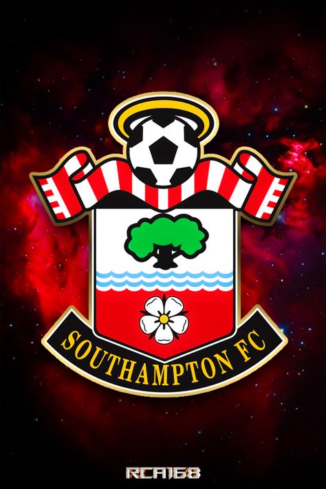 Southampton Wallpaper, Southampton Fc, Southampton, Football Club, Cards Handmade, Football, Collage, ? Logo, Animals