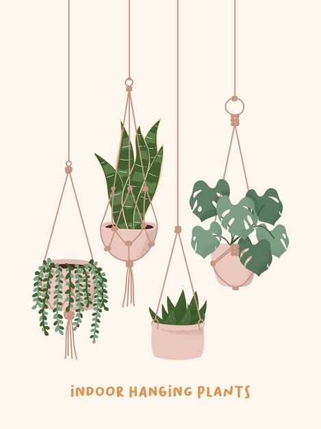 Macrame hangers plants growing in pots. ... | Premium Vector #Freepik #vector #leaf #leaves #tropical #rope Indoor Plants Ideas Decor, Hanging Plant Indoor, Indoor Plant Ideas, Macrame Hangers, Plants Growing, String Of Pearls, Hanging Plants, Hangers, Premium Vector