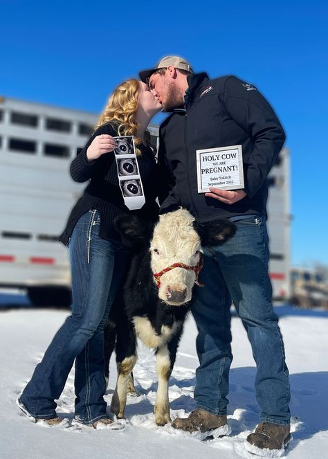 My sister wanted cute photos to announce her pregnancy that also tied into their every day lives. We came up with the idea to use one of our favorite baby cows since they live on a working farm! Country Pregnancy Announcement, We're Pregnant, Pregnancy Announcement Photoshoot, Cute Family Pictures, Cute Pregnancy Announcement, Working Farm, Pregnancy Announcement Photos, Baby Room Inspiration