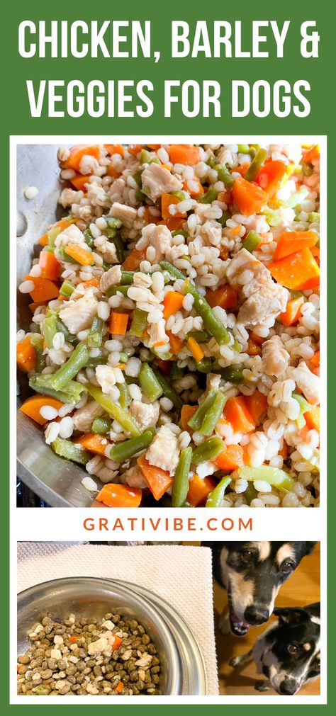 Veggies For Dogs, Boil Whole Chicken, Chicken Thighs In Oven, Dog Food Recipes Crockpot, Chicken Barley, Chicken Vegetable Stew, Chicken Dog Food Recipes, Puppy Haircut, Animal Treats