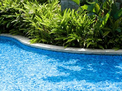 Poolside Landscape Ideas, Backyard With A Pool, Plants Around Pool, Landscaping Around Pool, Pool Plants, Landscape Design Ideas, Pools Backyard Inground, Swimming Pool Landscaping, Pool Landscape Design