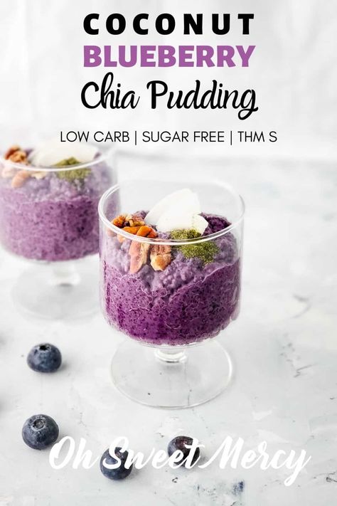 Thm Chia Seed Pudding, Blueberry Coconut Chia Seed Pudding, Chia Pudding Coconut Milk, Breakfast Dairy Free, Chia Seed Pudding Coconut Milk, Blueberry Chia Seed Pudding, Plant Based Keto, Thm Lunch, Recipes Pudding