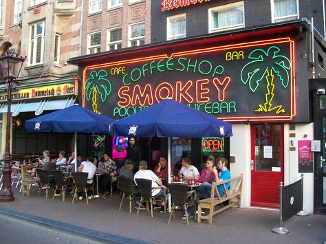 Coffeeshop Smokey in Rembrandtplein. #Amsterdam #CoffeeshopsRated.com #Smokey Amsterdam Coffee, Open Hotel, Coffee Bar Ideas, Bar Set Up, Cafe Shop, Bar Ideas, Christmas Coffee, Coffee Shops, Coffee Bar