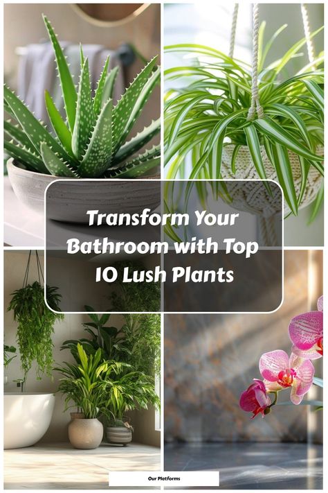 Transform your bathroom with lush plants – example of aloe vera, spider plant, hanging greenery, and orchid. Plants For Bathroom With No Windows, No Light Plants, Plant For Bathroom With No Windows, Plants For A Bathroom, Small Windowless Bathroom, Hanging Patio Lights, Windowless Bathroom, Toilet Ideas, Lush Plants