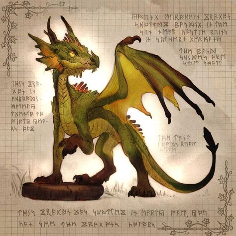 Pseudodragon Familiar Art, Cottagecore Dragon, European Dragon, Dragon Types, Dragon Dnd, Sun Dragon, Dragon Creature, Stone Dragon, Old Dragon