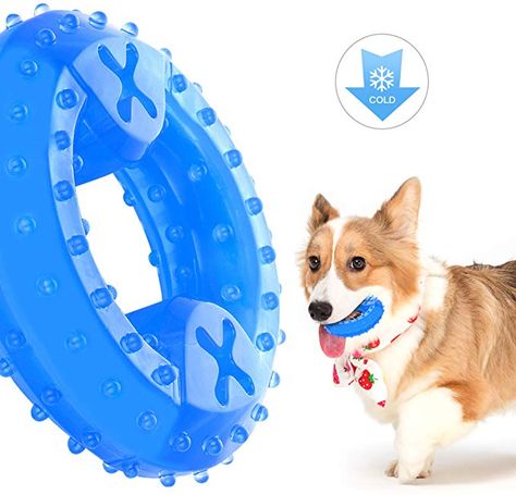 Dog Toys Indestructable, Puppy Teething, Frozen Dog, Durable Dog Toys, Dog Teeth Cleaning, Puppy Chewing, Dog Teeth, Toy Puppies, Dog Chew Toys