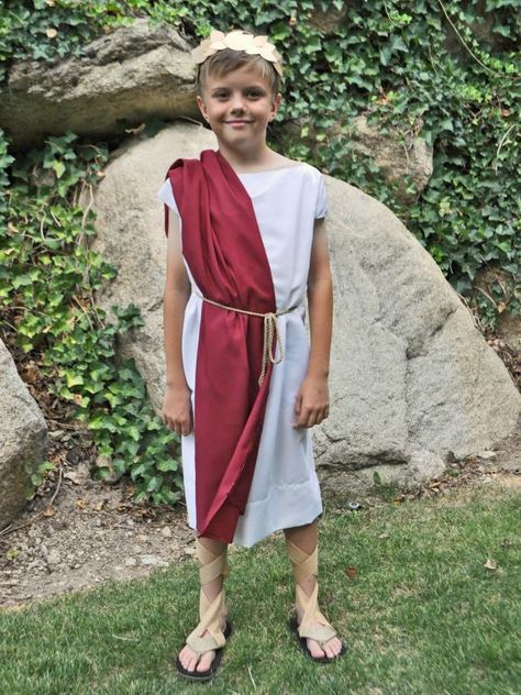 DIY Roman Toga Costume | HGTV >> http://www.hgtv.com/design/make-and-celebrate/handmade/halloween-costume--roman-toga?soc=pinterest Toga Halloween Costume, How To Make A Toga, Toga Costume Diy, Diy Toga, Roman Royalty, Toga Outfit, Greece Costume, Greek God Costume, Diy Costumes Kids Boys