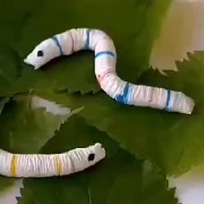 Pouring Water, September 23, Paper Towels, So Funny, Paper Towel, Caterpillar, Handmade Crafts, Make It, Towels