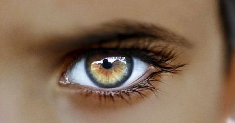 Photo Eyes Iris, Eye Color Facts, Rare Eyes, Colored Eye Contacts, Beautiful Eyes Color, Lenses Eye, Texas Art, Beautiful Eye, Eye Photography