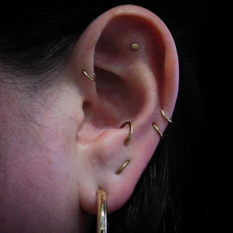 Ear Styling, Piercing Inspiration, Ears Pierced, Ear Style, Cute Piercings, Gold Girl, Ear Piercing, Hearing Aids, Body Mods