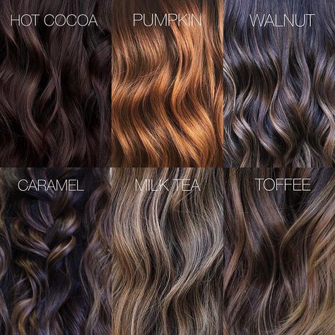 Brunette Tones Chart, Brunette Tones, Brown Hair Looks, Short Undercut Hairstyles, Short Undercut, Hair Creations, Undercut Hairstyles, Undercut, Brunettes