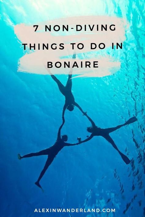 best things to do in bonaire for non-divers | bonaire travel