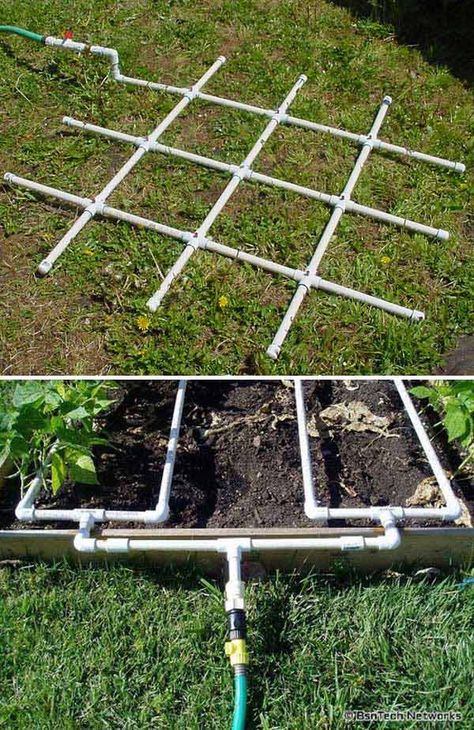 Plantarea Legumelor, Moderne Have, Gardening Projects, نباتات منزلية, Pvc Pipes, Diy Gardening, Square Foot Gardening, Veg Garden, Kraf Diy