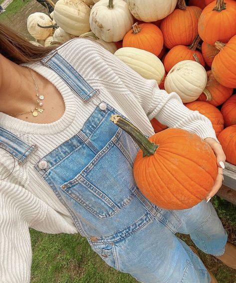 Fall Pfp, Pumpkin Patch Photoshoot, Pumpkin Patch Pictures, Fall Photo Shoot Outfits, Pumpkin Patch Outfit, Preppy Fall, Picture Inspiration, Fall Inspo, Fall Photoshoot