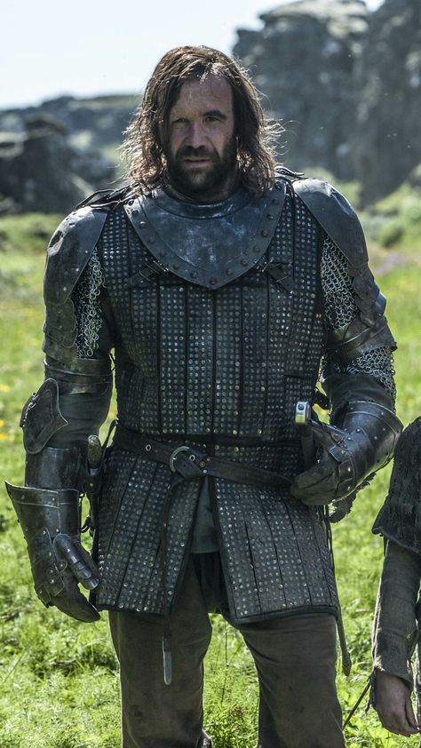 Hound Game Of Thrones, Lord Eddard Stark, Rory Mccann, Game Of Thrones Facts, Game Of Thrones Costumes, Game Of Thrones Tv, Got Game Of Thrones, Fire And Blood, Game Of Thrones Funny